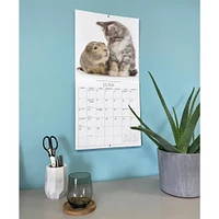 Kittens And Friends Wall  2026 Calendar