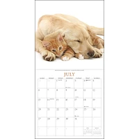 Kittens And Friends Wall 2025 Calendar