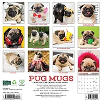 Pug Mugs Wall 2025 Calendar