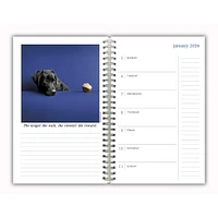Dogma 2026 Engagement Calendar