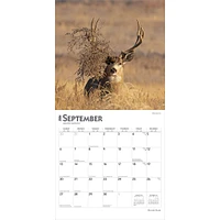 Monster Bucks 2026 Wall Calendar - Online Exclusive