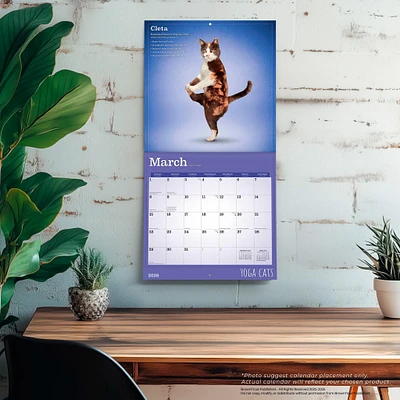 Yoga Cats 2026 Wall Calendar