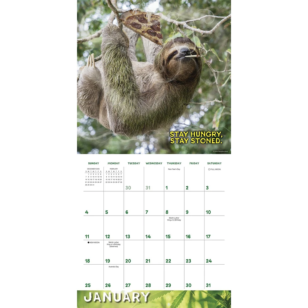 Stoner Sloths 2026 Wall Calendar