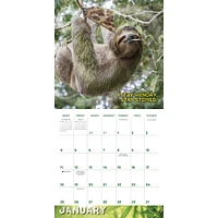 Stoner Sloths 2026 Wall Calendar
