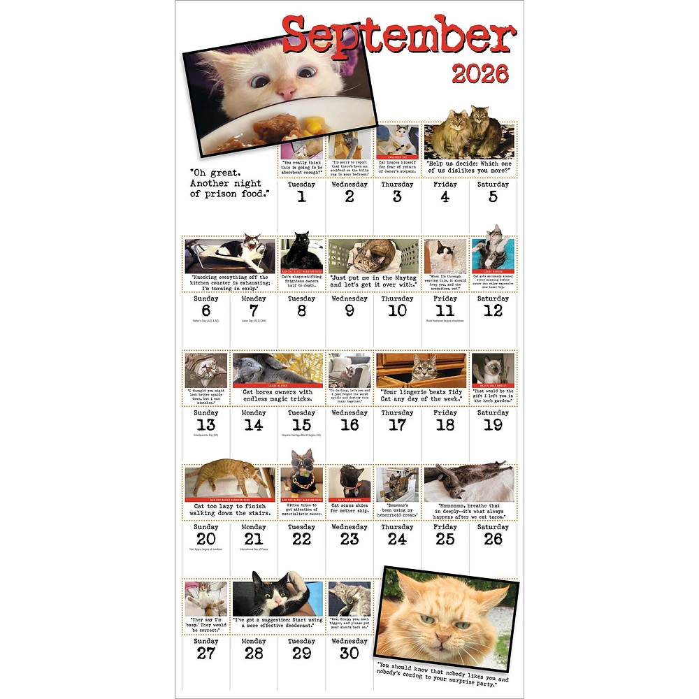 Bad Cat 2026 Wall Calendar - Online Exclusive
