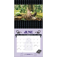 Wednesday Wall  2026 Calendar