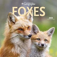 Canadian Geographic Foxes 2026 Wall Calendar - Online Exclusive