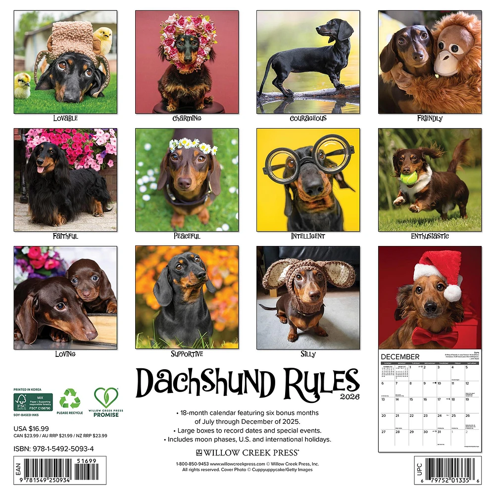 Dachshund Rules 2026 Wall Calendar