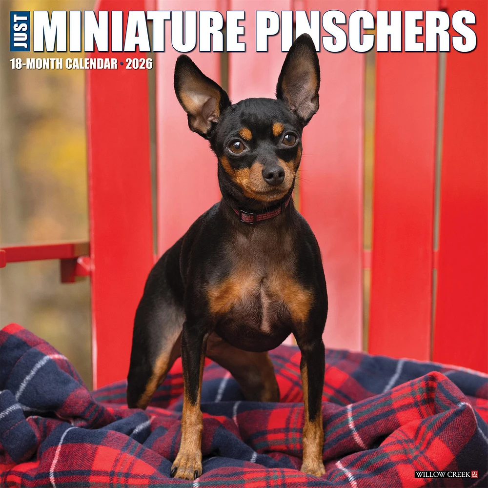 Just Miniature Pinschers 2026 Wall Calendar - Online Exclusive