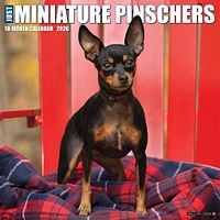 Just Miniature Pinschers 2026 Wall Calendar - Online Exclusive