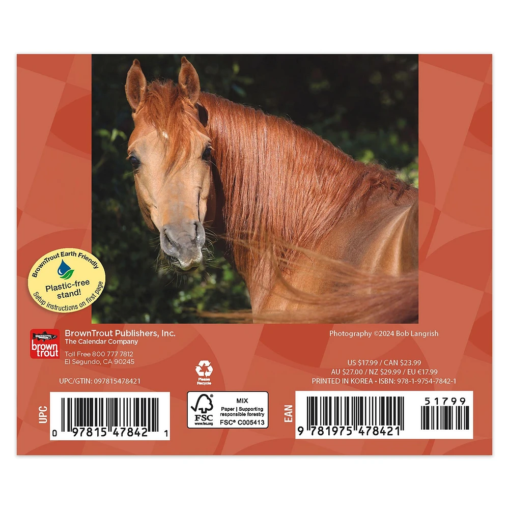 Horse Lovers Box 2025 Calendar - Online Exclusive