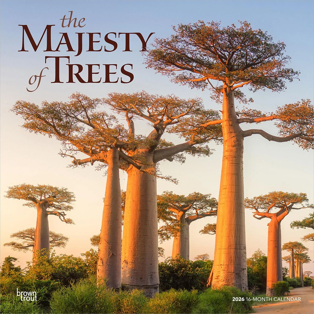 Majesty Of Trees 2026 Wall Calendar - Online Exclusive