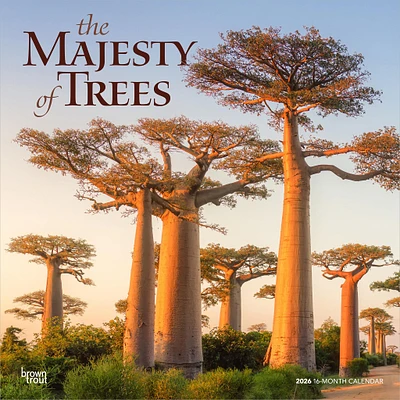 Majesty Of Trees 2026 Wall Calendar - Online Exclusive