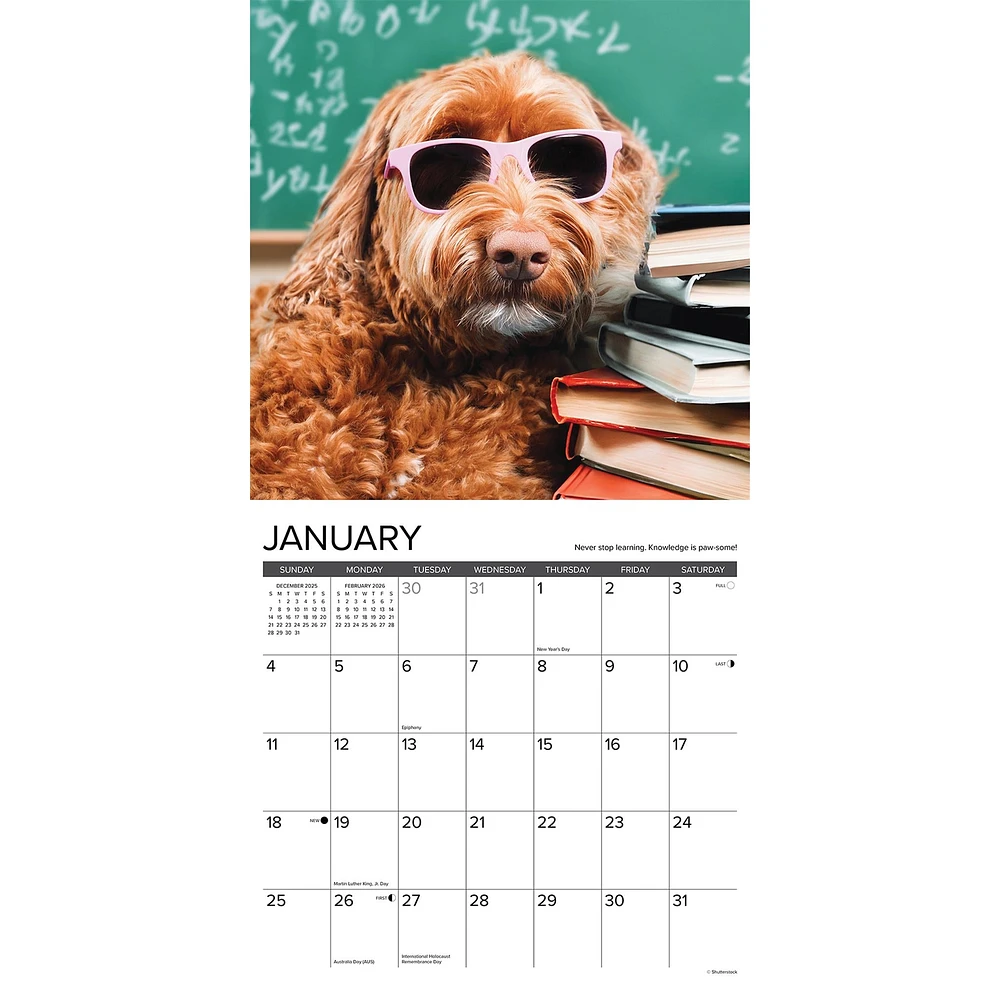 What Dogs Teach Us 2026 Wall Calendar