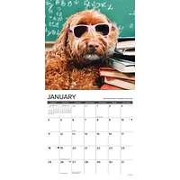 What Dogs Teach Us 2026 Wall Calendar
