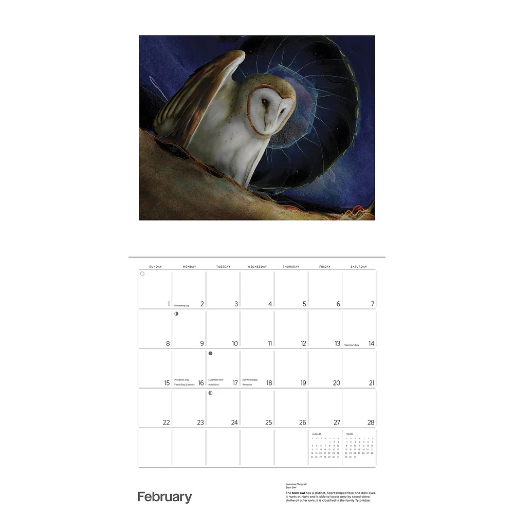 Owls Jeannine Chappell 2026 Wall Calendar