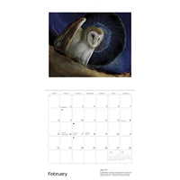 Owls Jeannine Chappell 2026 Wall Calendar