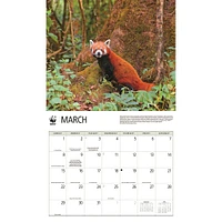 World Wildlife Fund Red Pandas  2026 Wall Calendar