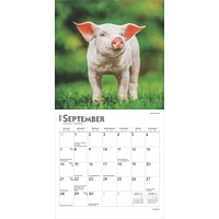 Piglets Mini 2025 Calendar