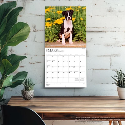 Chiots 2026 Calendrier de 12 Mois (French)