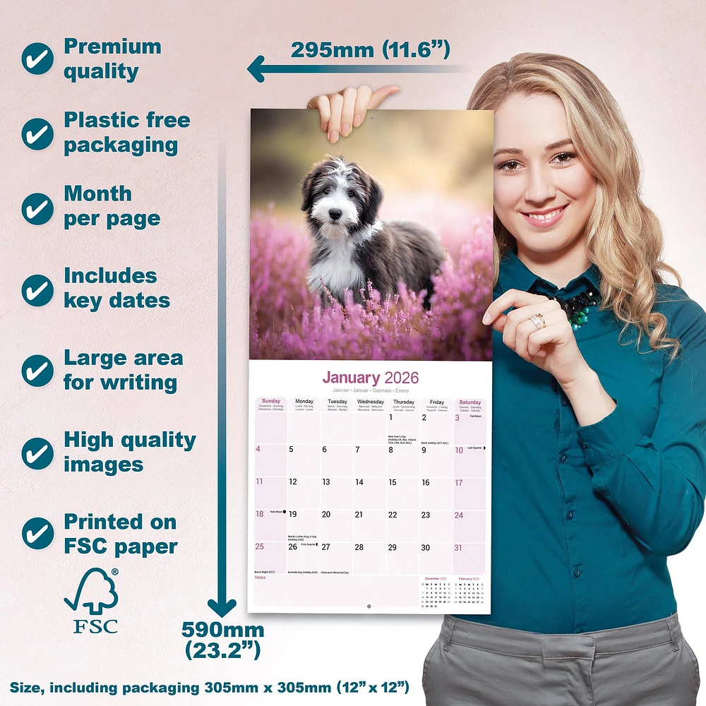 Bearded Collie Wall  2026 Calendar