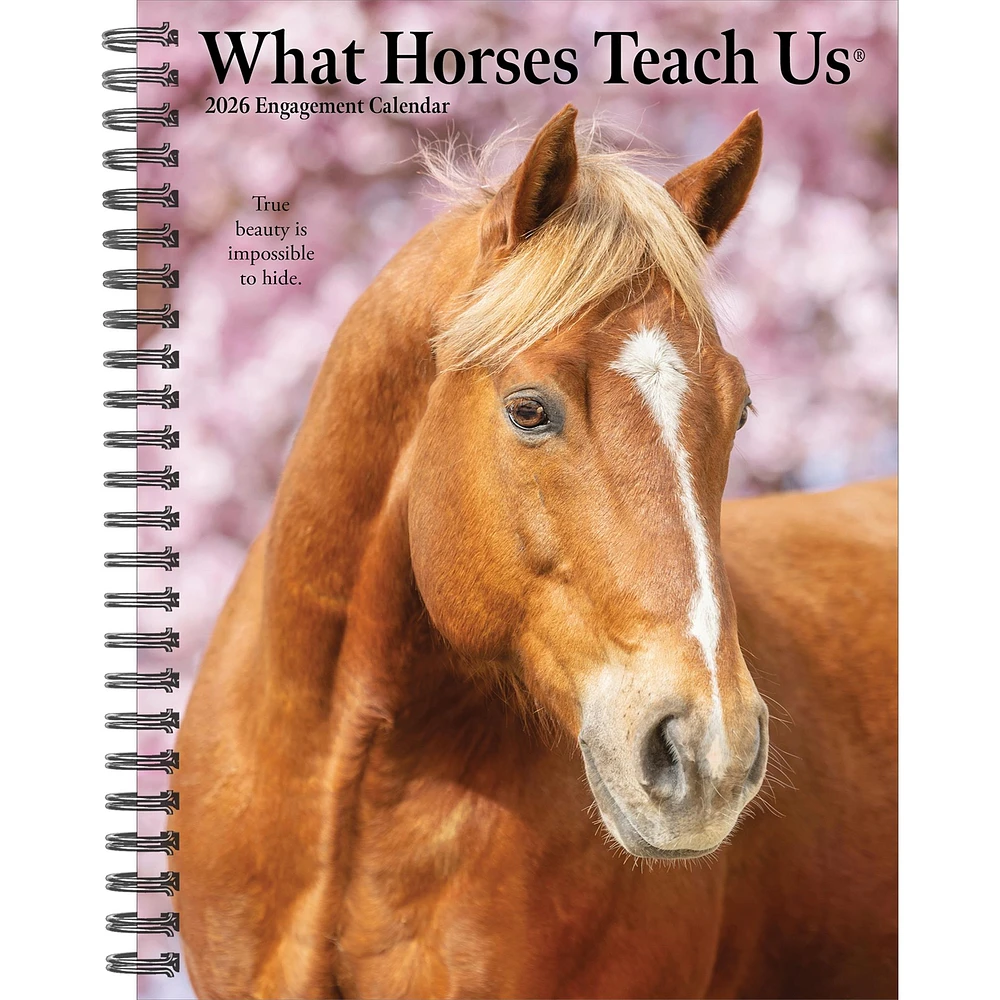 What Horses Teach Us 2026 Engagement Calendar