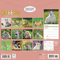 Rabbits 2026 Wall Calendar