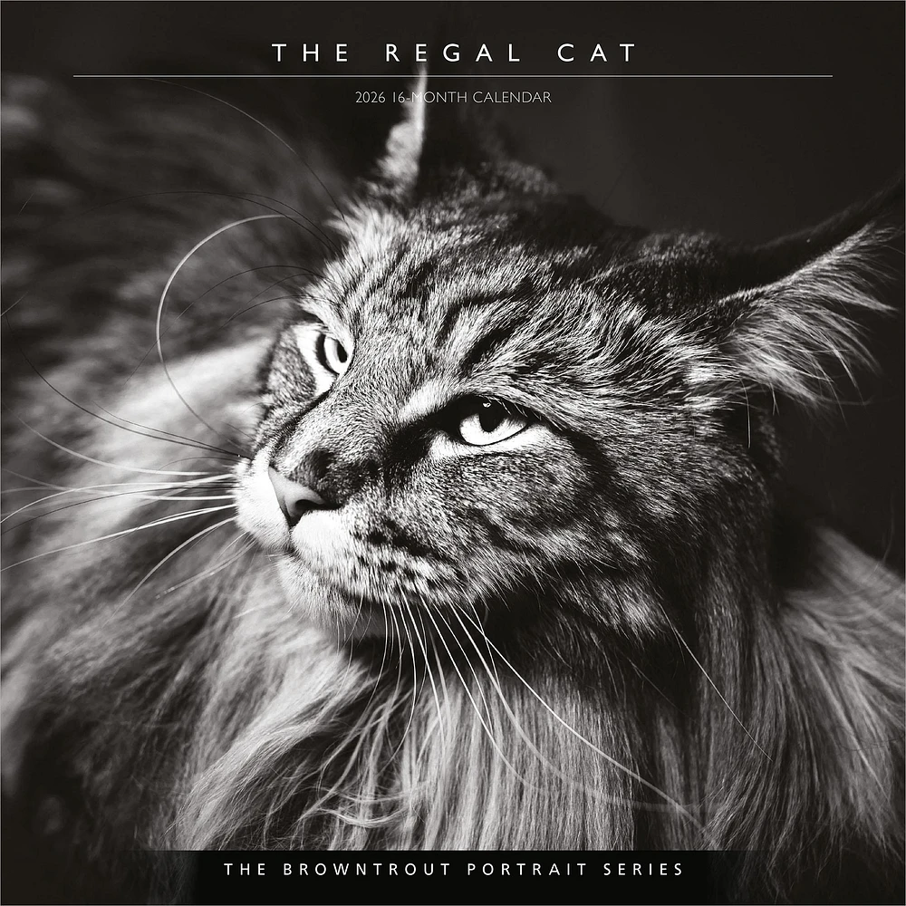 Cat The Regal 2026 Wall Calendar - Online Exclusive