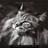 Cat The Regal 2026 Wall Calendar - Online Exclusive