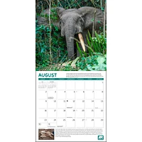 Project Green 2026 Wall Calendar