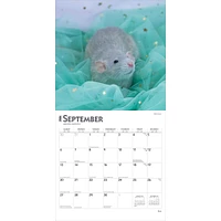 Rats 2026 Wall Calendar