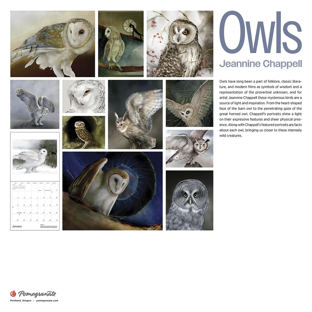 Owls Jeannine Chappell 2026 Wall Calendar