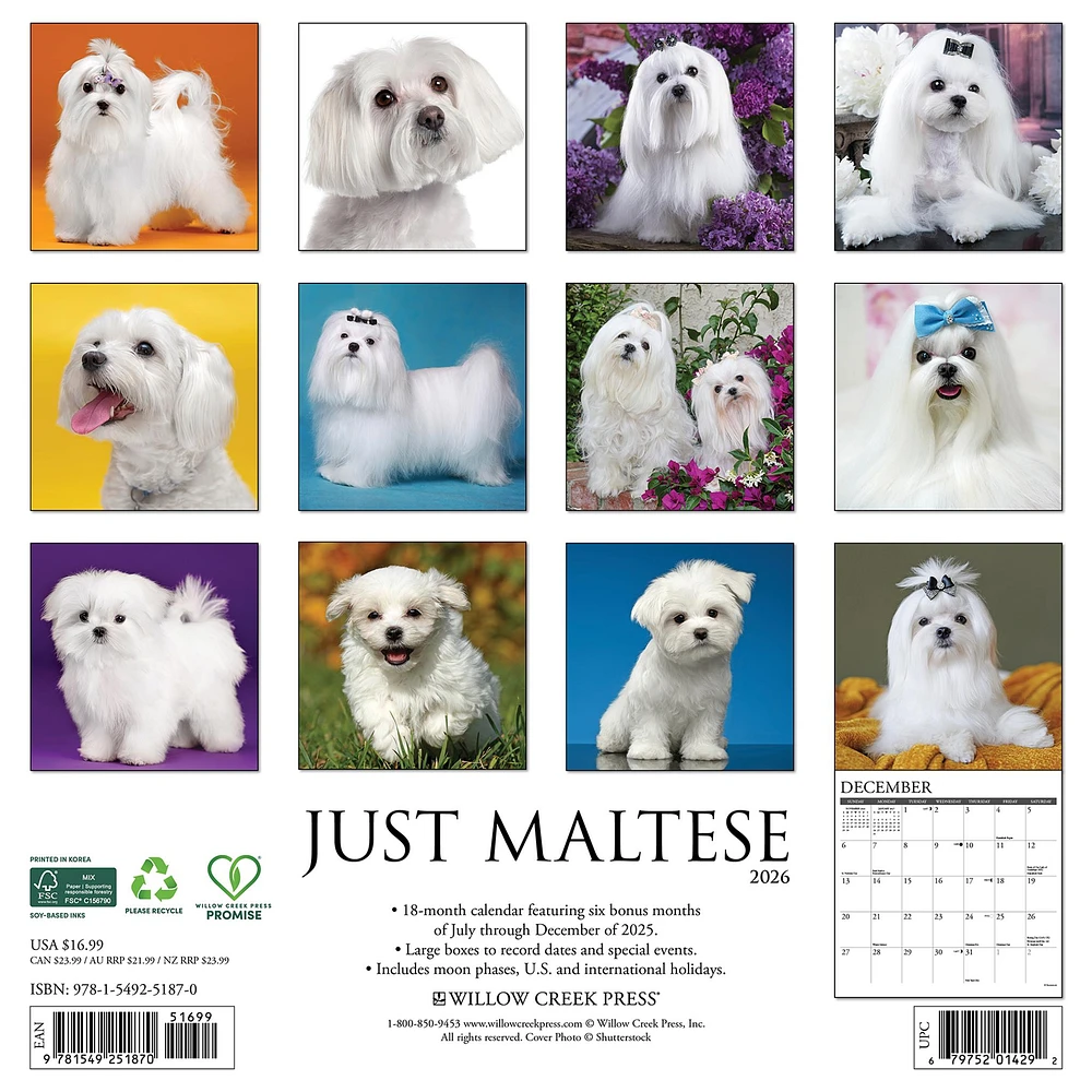 Just Maltese 2026 Wall Calendar - Online Exclusive