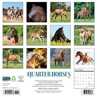 American Quarter Horses Wall 2025 Calendar