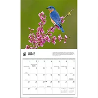 Songbirds World Wildlife Fund Wall 2025 Calendar