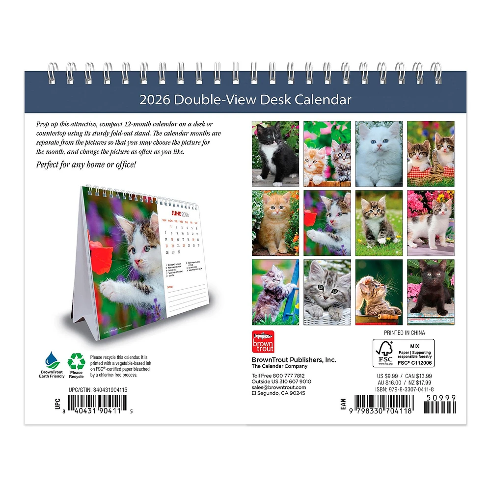 Kittens 2026 Double View Easel Calendar