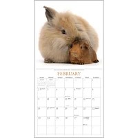 Bunnies And Friends Wall 2025 Calendar