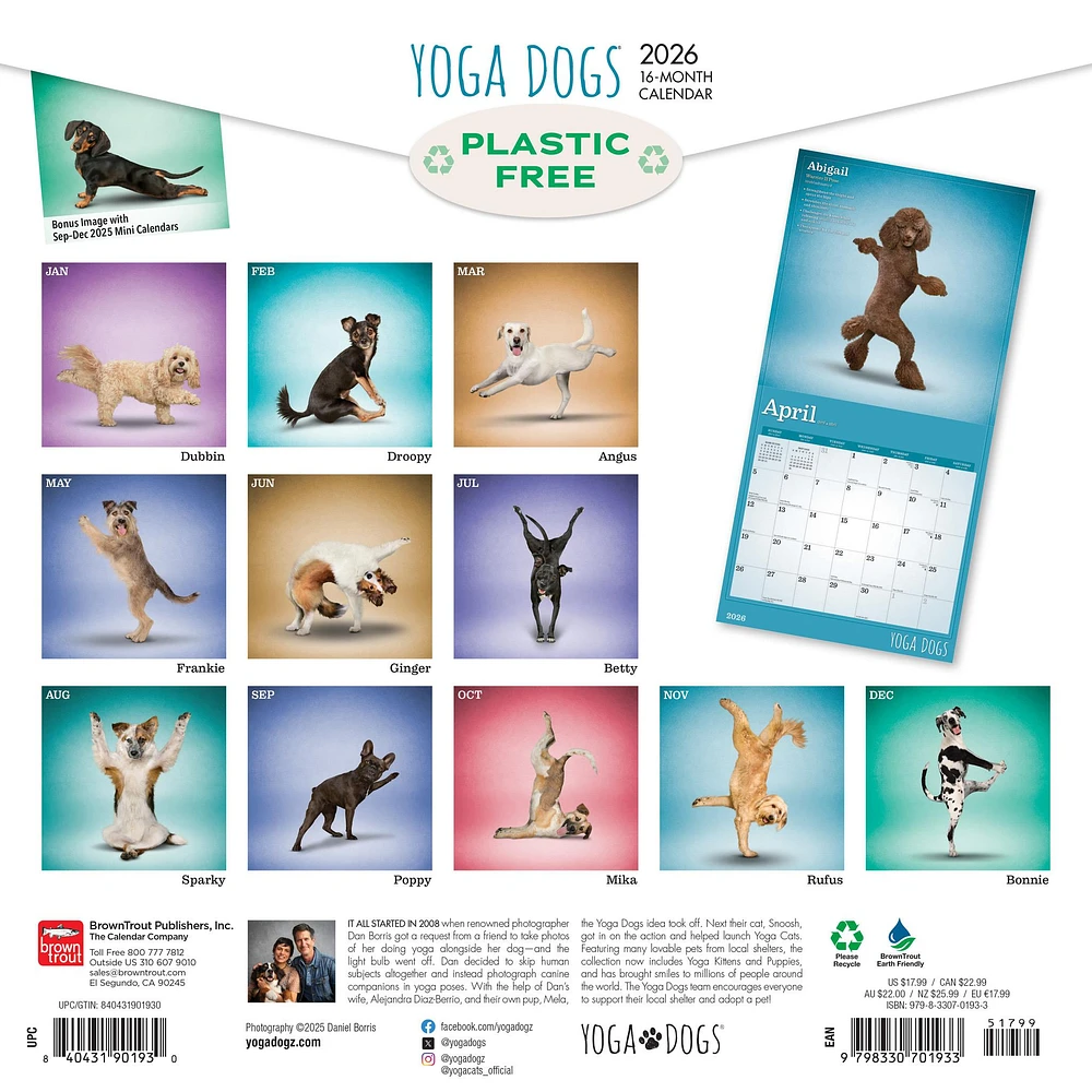 Yoga Dogs 2026 Wall Calendar