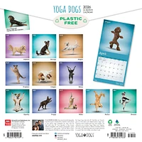 Yoga Dogs 2026 Wall Calendar