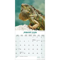 Lizards 2026 Wall Calendar