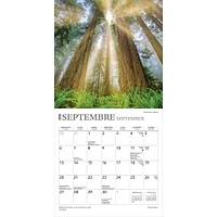 Inspiration 2026 Mini Calendar (French)
