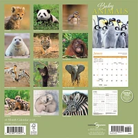 Baby Animals 2026 Wall Calendar