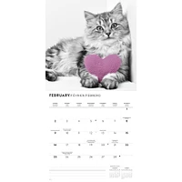 Classic Cats Wall 2025 Calendar