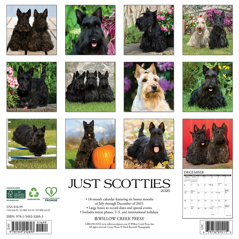 Just Scotties 2026 Wall Calendar