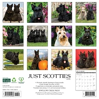 Just Scotties 2026 Wall Calendar