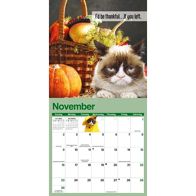 Grumpy Cat Mini 2025 Calendar