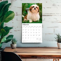 Shih Tzu Puppies 2026 Wall Calendar
