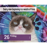 Grumpy Cat 2026 Box Calendar