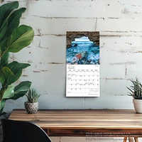 Newfoundland And Labrador 2026 Mini Calendar - Online Exclusive