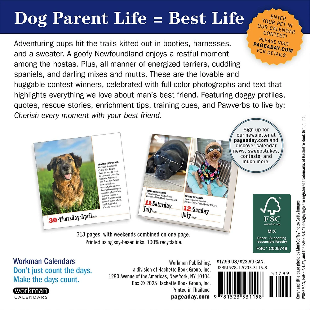 Dogs 365 2026 Box Calendar